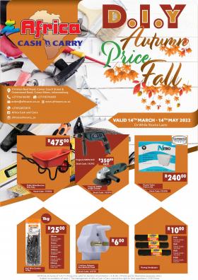 Africa Cash & Carry - DIY Autumn Price Fall