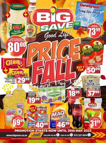 Big Save catalogue - PRICE FALL