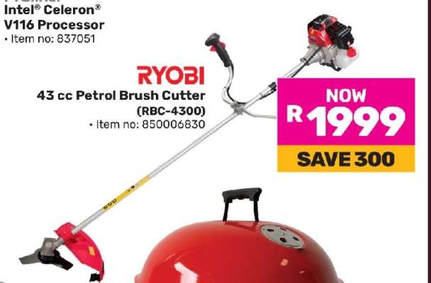 RYOBI 43 cc Petrol Brush Cutter (RBC-4300)