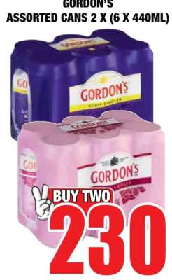Gordon's Assorted Cans 2 x (6 x 440ml)