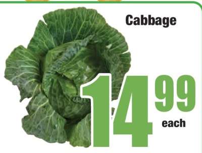 Cabbage
