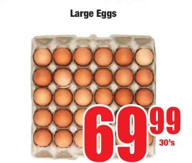 Large Eggs