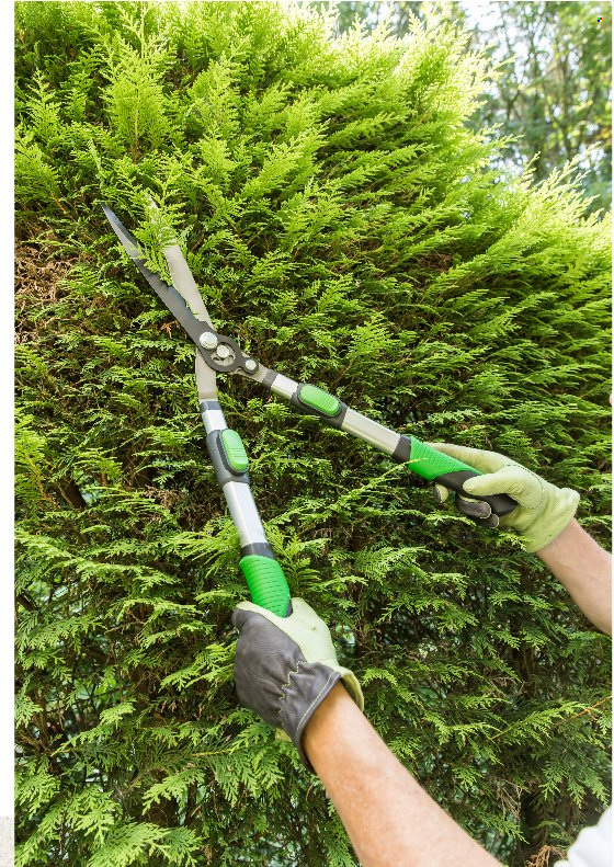 Leroy Merlin specials. Page 17