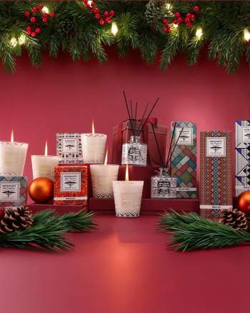 Dis-Chem catalogue  - 29/10/2025 - 24/12/2025.