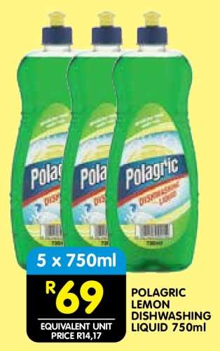 POLAGRIC LEMON DISHWASHING LIQUID 750ml