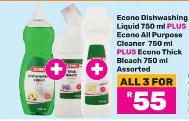 Econo Dishwashing Liquid 750 ml PLUS Econo All Purpose Cleaner 750 ml PLUS Econo Thick Bleach 750 ml Assorted
