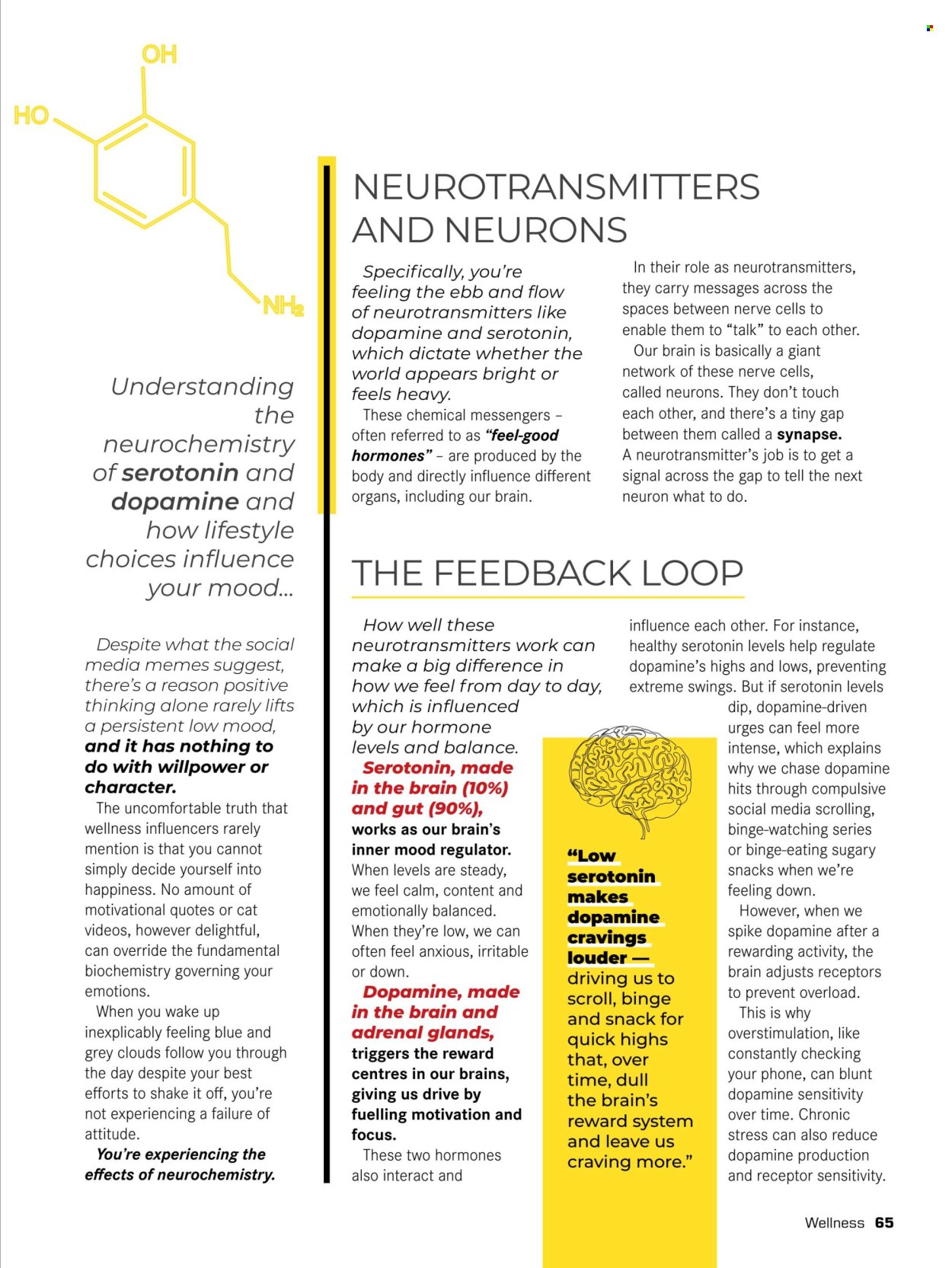 Dis-Chem specials. Page 67