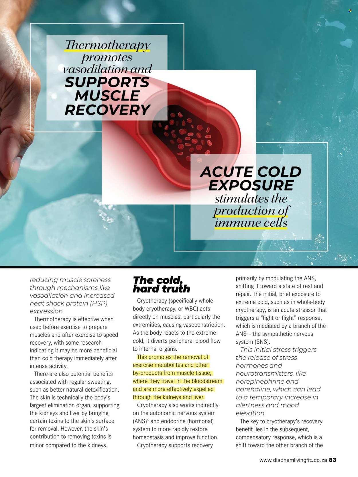 Dis-Chem specials. Page 85