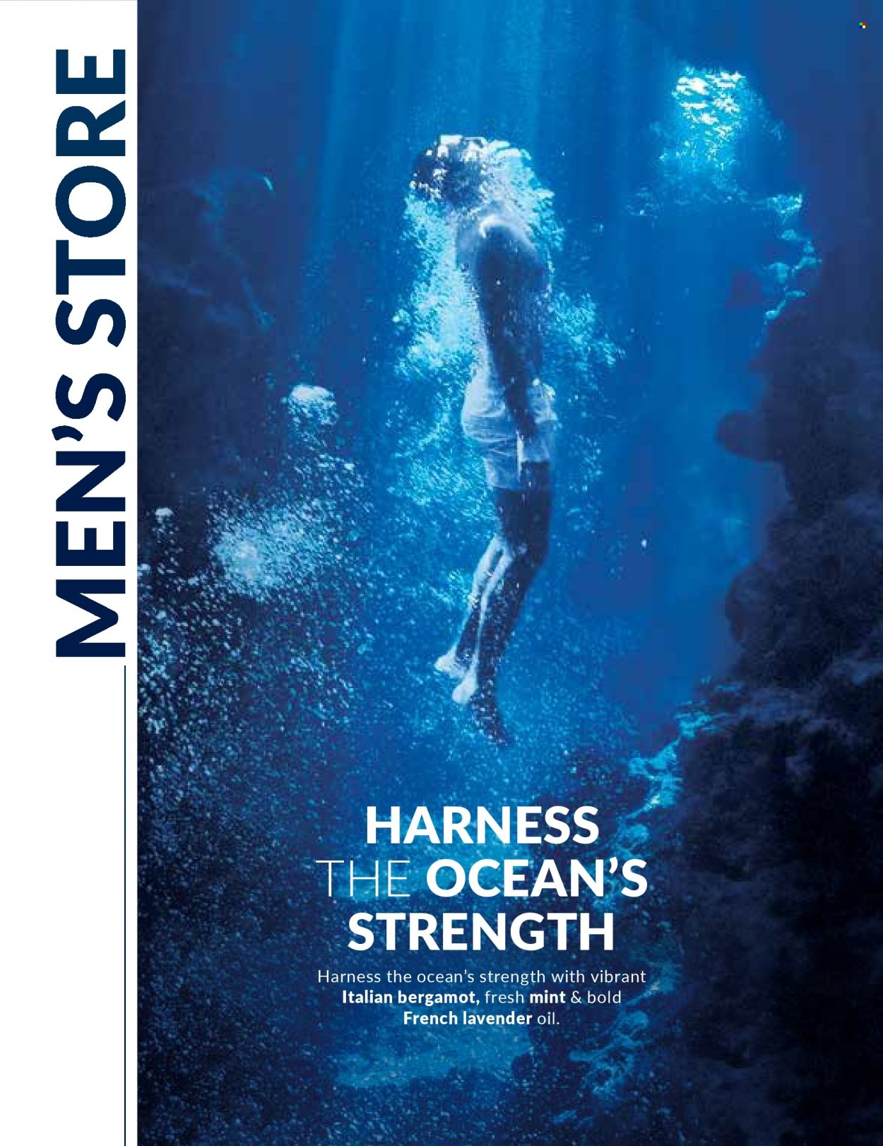 Avon specials - 01/12/2025 - 31/12/2025. Page 100