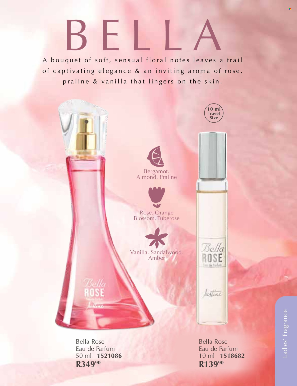 Justine specials - 01/12/2025 - 31/12/2025. Page 43