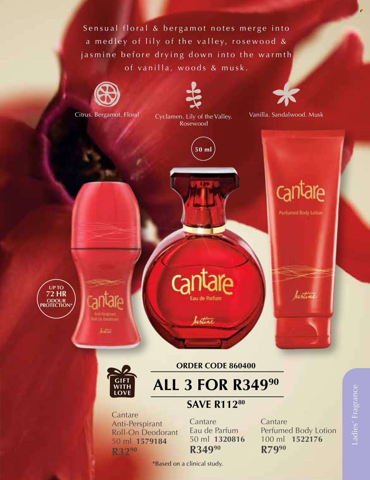 Justine specials - 01/12/2025 - 31/12/2025. Page 48