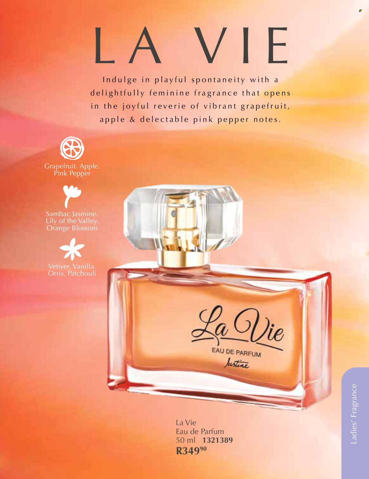 Justine specials - 01/12/2025 - 31/12/2025. Page 50