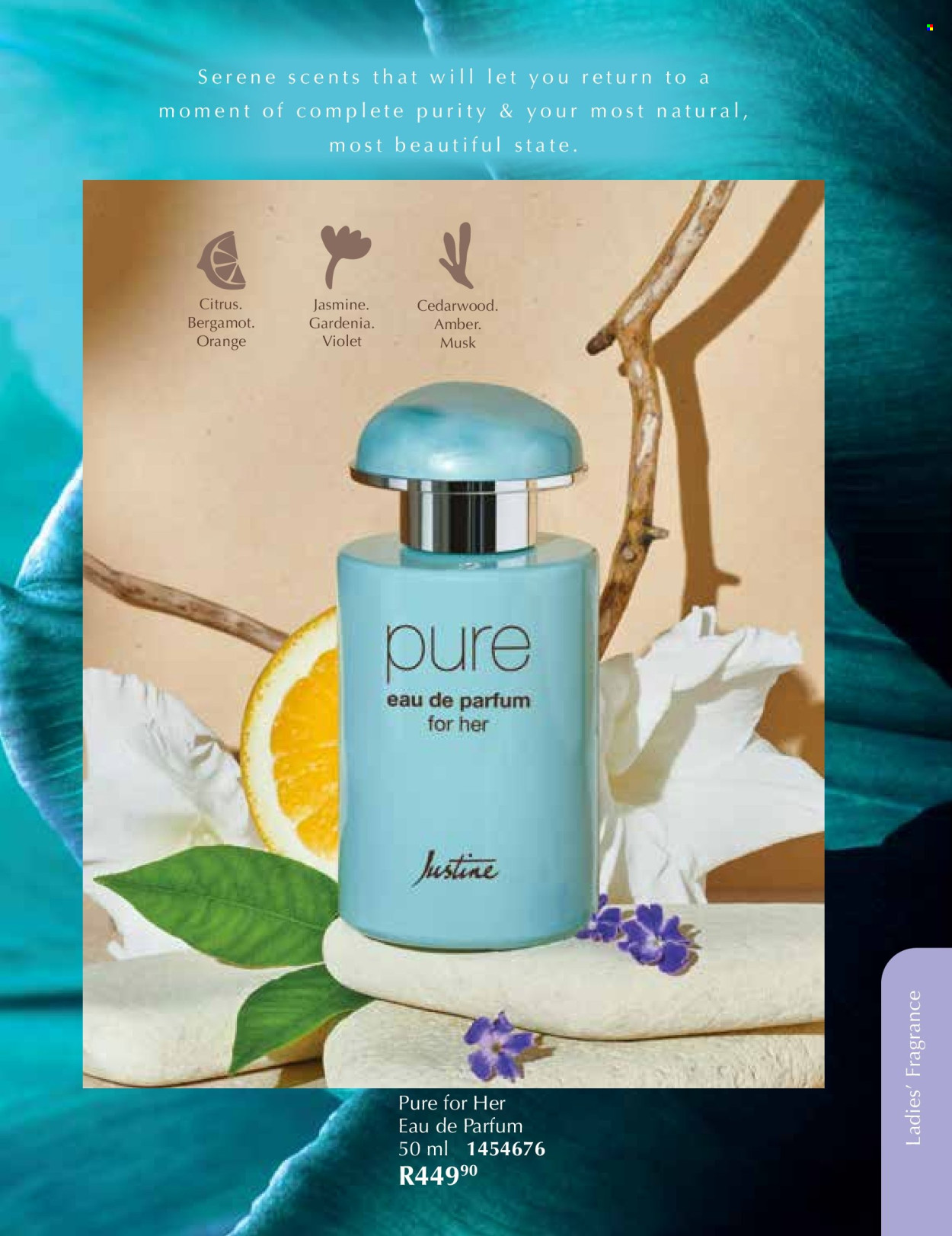 Justine specials - 01/12/2025 - 31/12/2025. Page 53