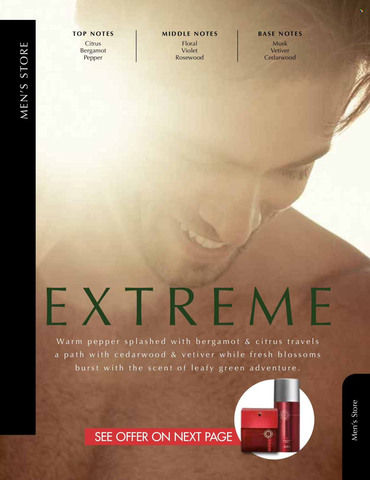 Justine specials - 01/12/2025 - 31/12/2025. Page 55