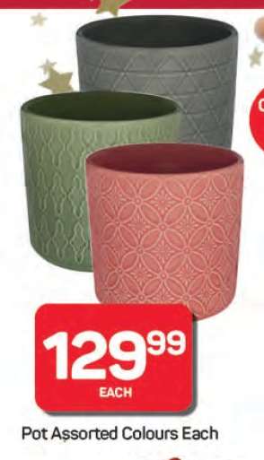 Pot Assorted Colours Each