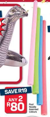 Pool Noodle Assorted Colours