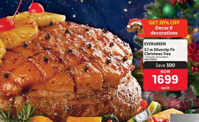 EVERGREEN 2.1 m Silvertip Fir Christmas Tree