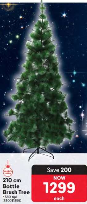 210 cm Bottle Brush Tree