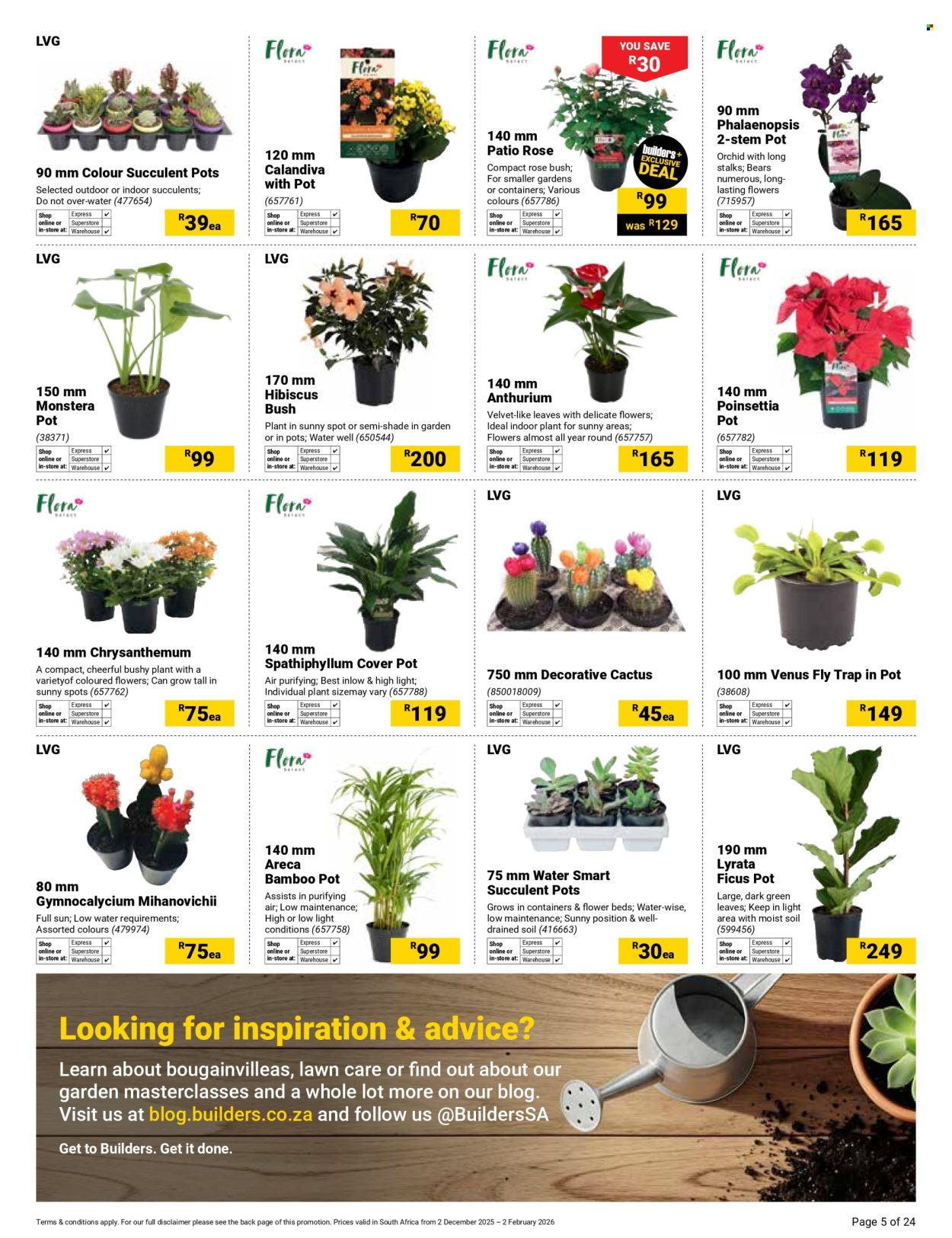 Builders specials - 02/12/2025 - 02/02/2026. Page 5