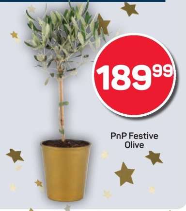 PnP Festive Olive