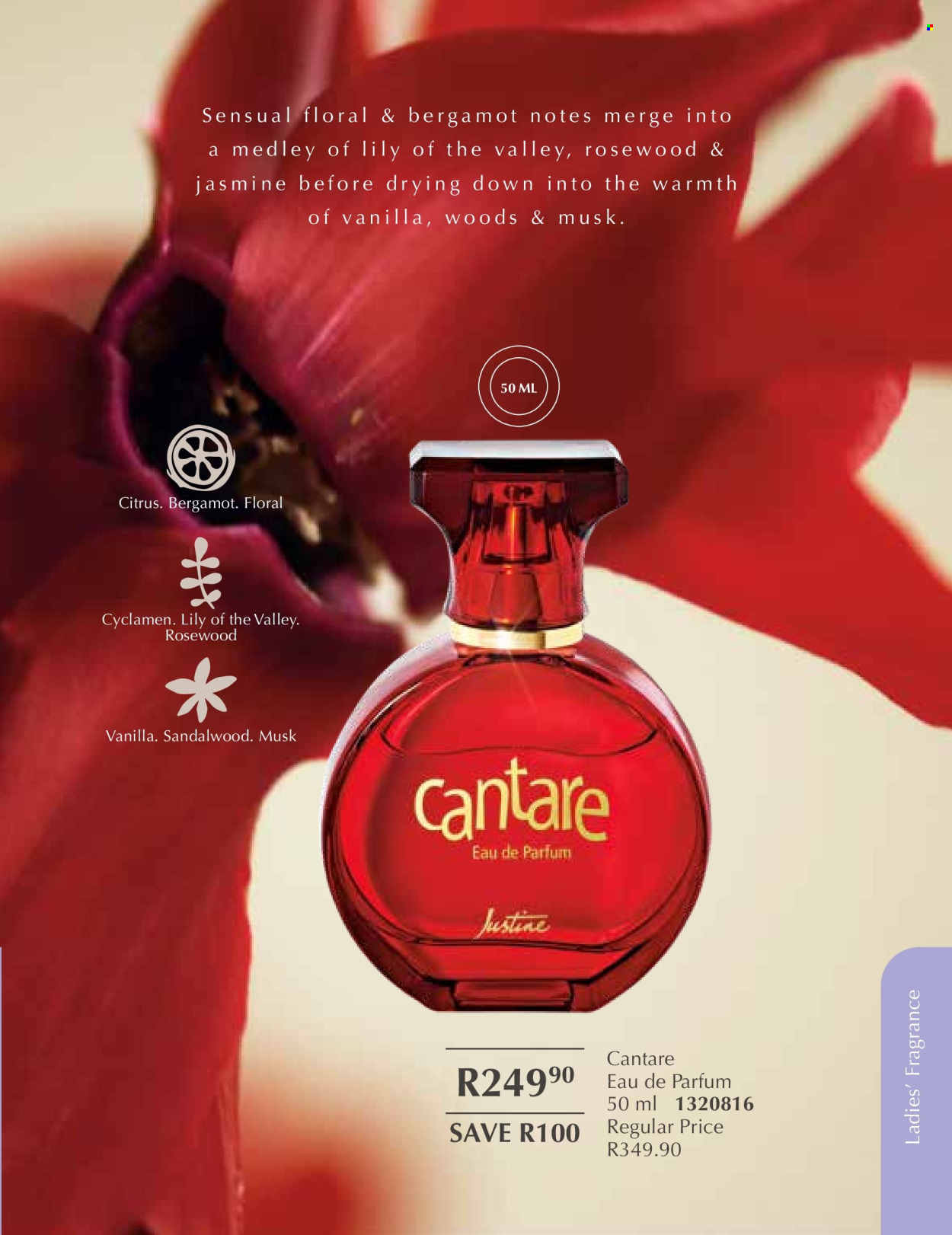 Justine specials - 01/01/2026 - 31/01/2026. Page 53