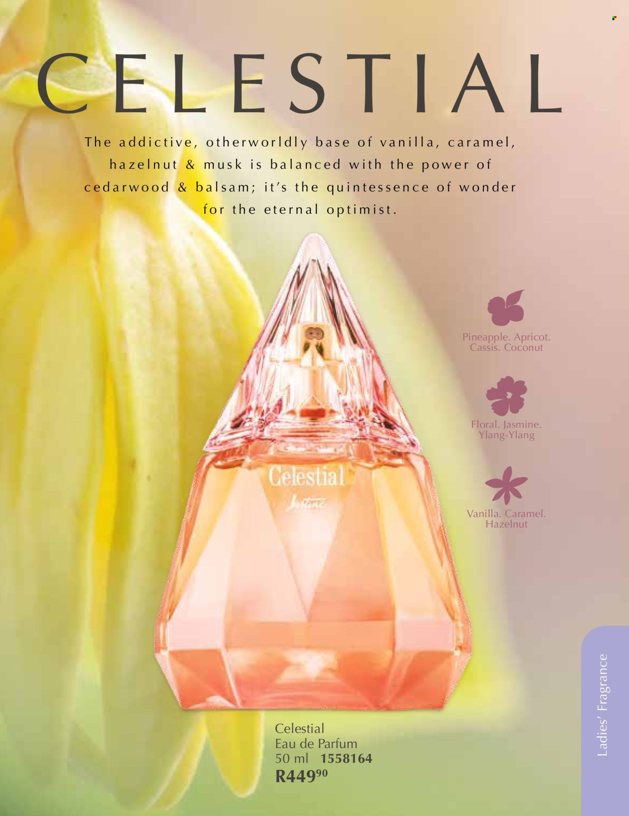 Justine specials - 01/01/2026 - 31/01/2026. Page 54