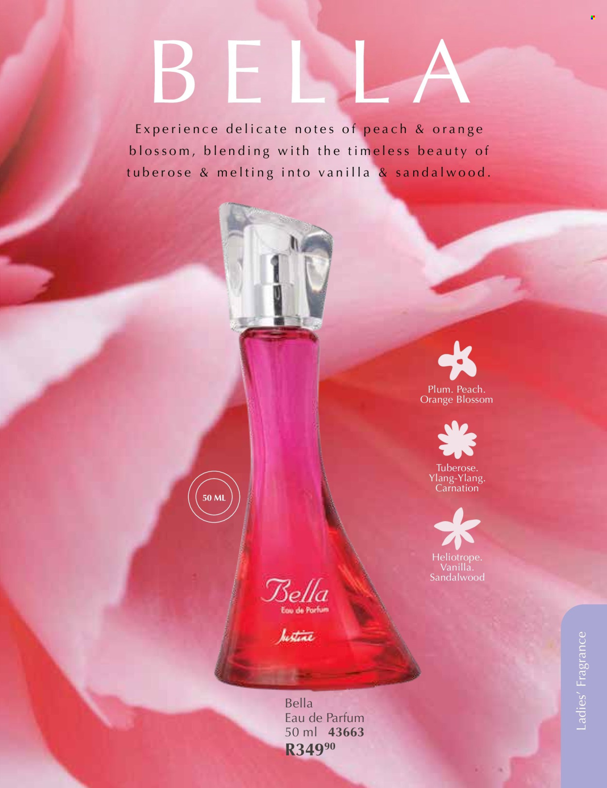 Justine specials - 01/01/2026 - 31/01/2026. Page 56