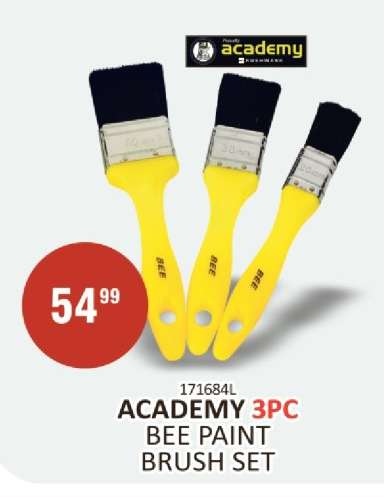 ACADEMY 3pc Bee Paint Brush Set