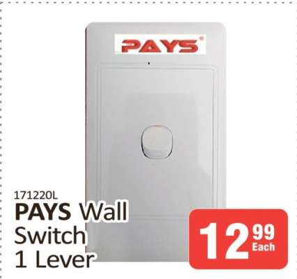 PAYS Wall Switch 1 Lever