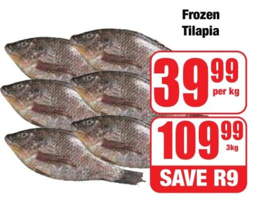 Frozen Tilapia