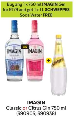 IMAGIN Classic or Citrus Gin 750 ml