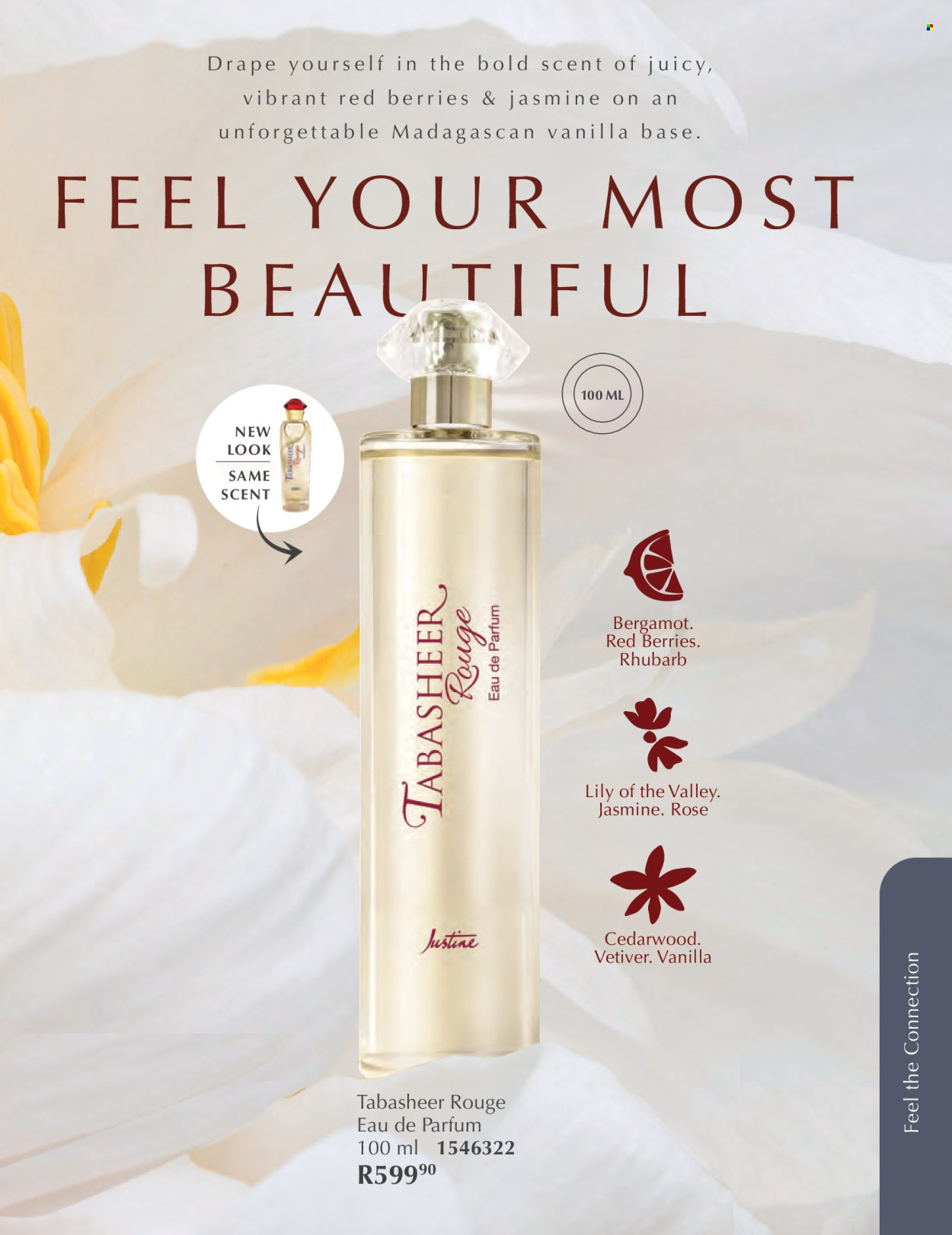 Justine specials - 01/02/2026 - 28/02/2026. Page 10