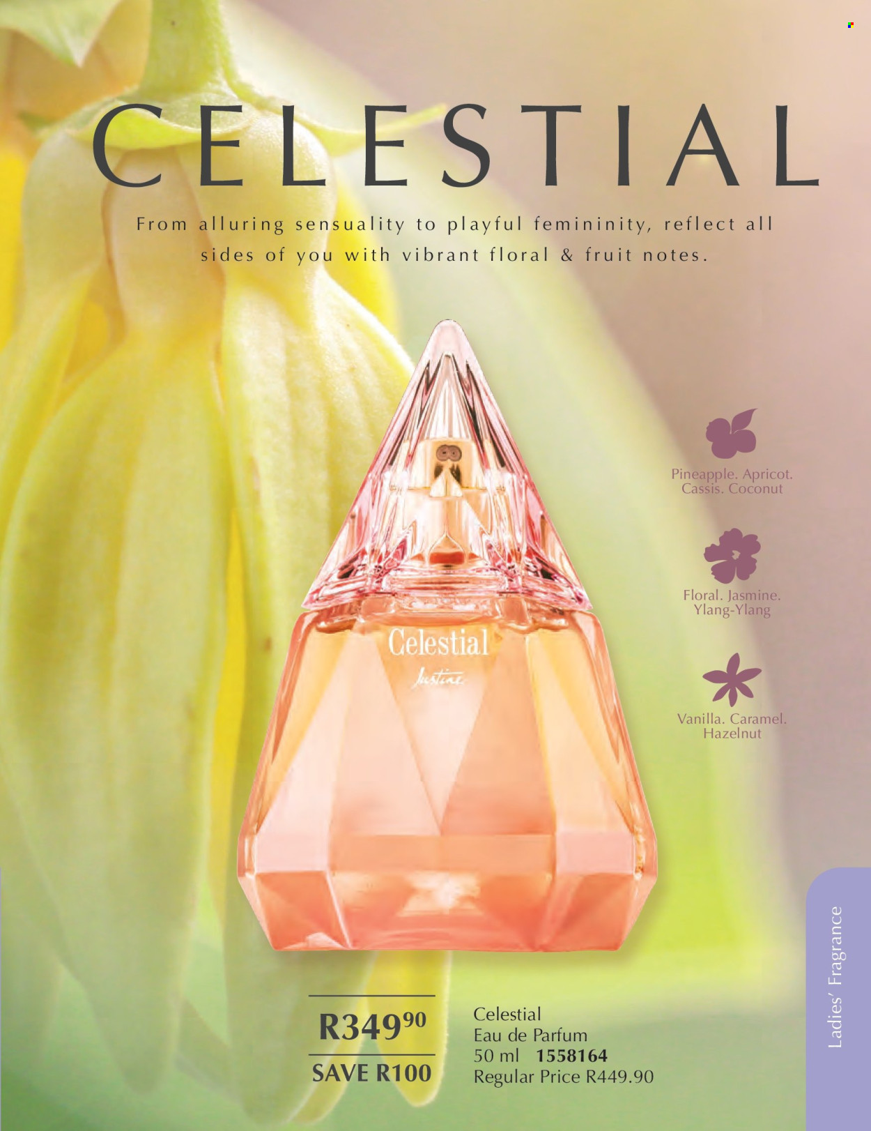 Justine specials - 01/02/2026 - 28/02/2026. Page 53