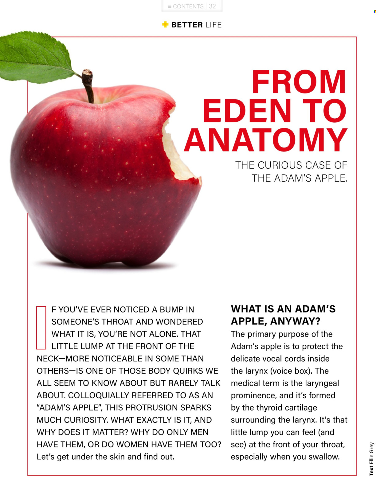 Dis-Chem specials - 01/02/2026 - 28/02/2026. Page 32