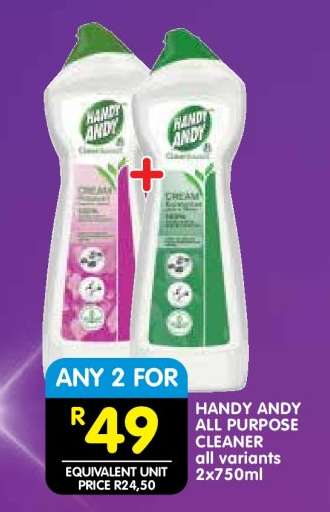 HANDY ANDY ALL PURPOSE CLEANER