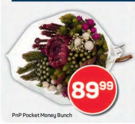 PnP Pocket Money Bunch