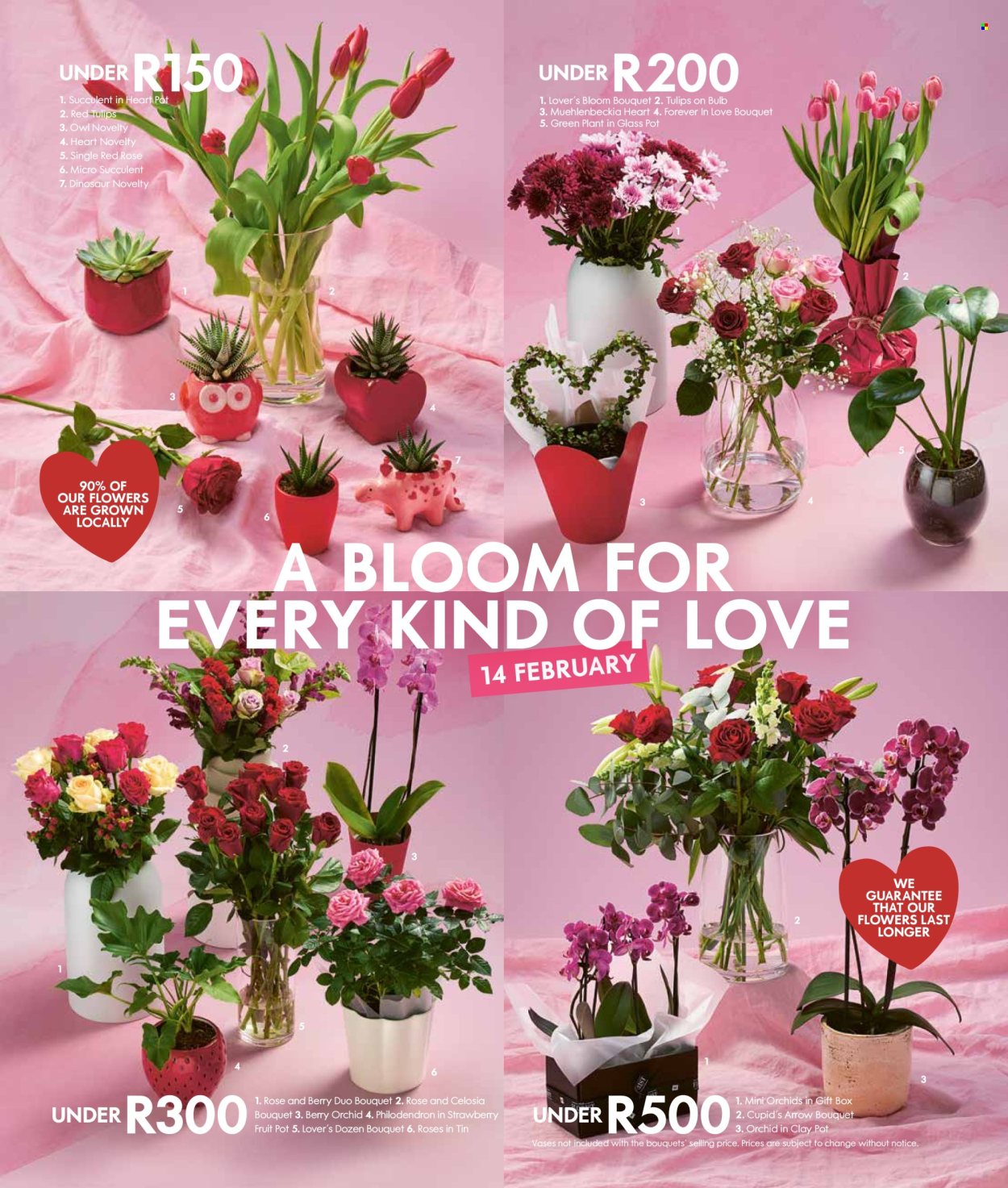 Woolworths specials - 09/02/2026 - 22/02/2026. Page 3