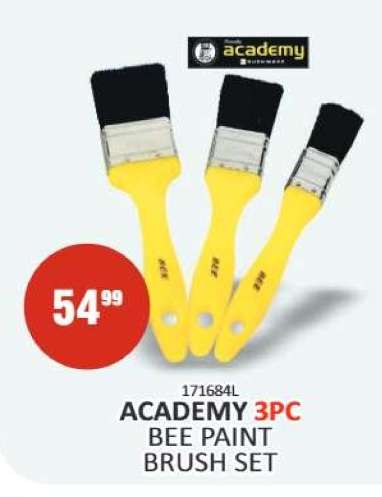 ACADEMY 3pc Bee Paint Brush Set