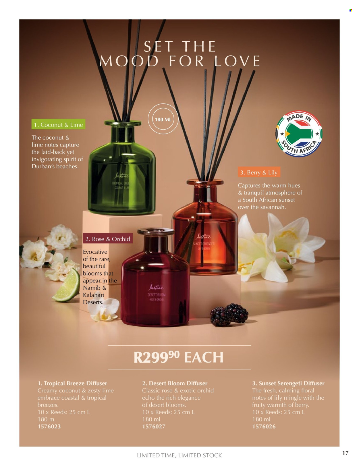 Justine specials - 20/02/2026 - 28/02/2026. Page 17