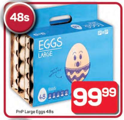 PnP Large Eggs 48s
