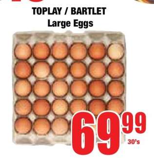 TOPLAY / BARTLET Large Eggs