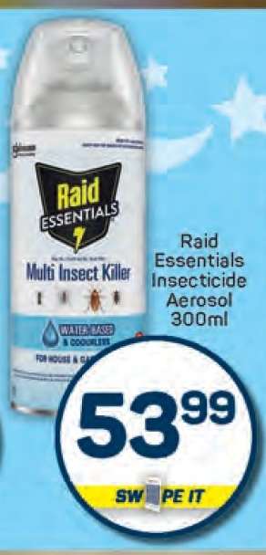 Raid Essentials Insecticide Aerosol 300ml