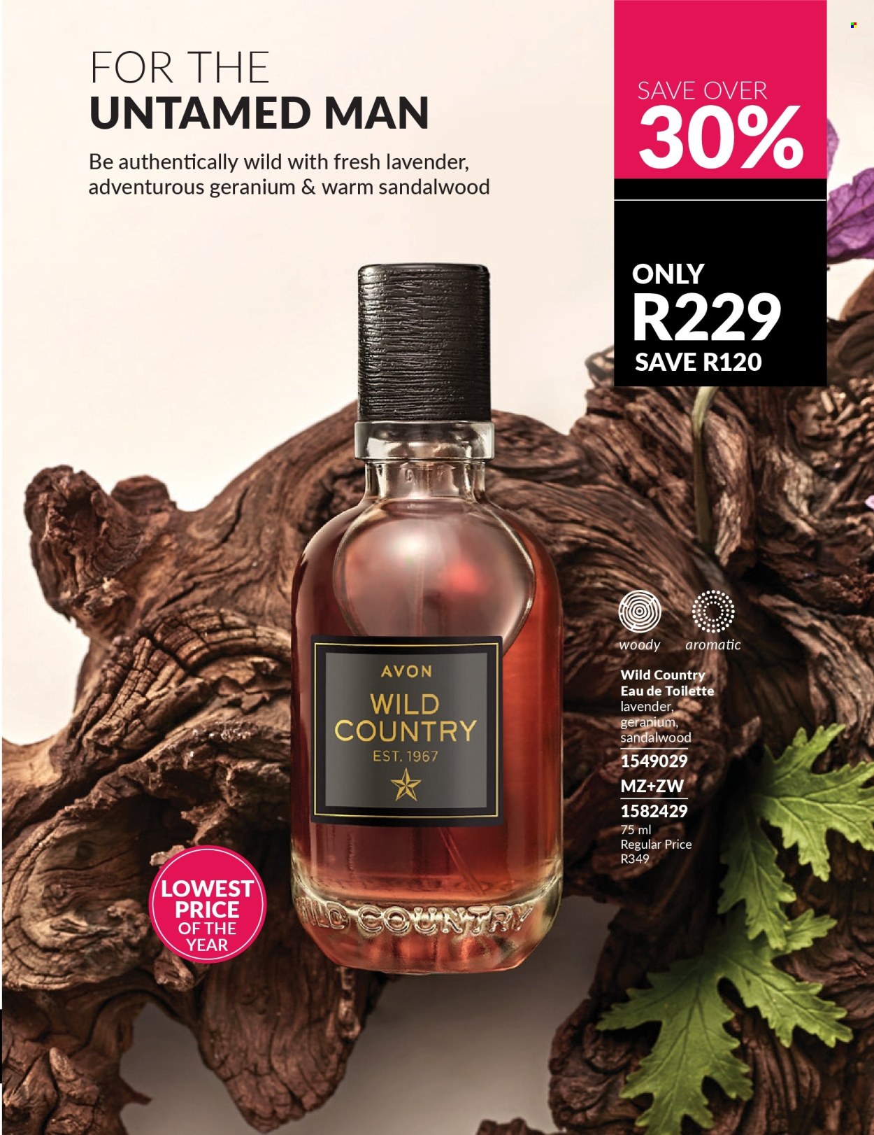 Avon specials - 01/03/2026 - 31/03/2026. Page 65