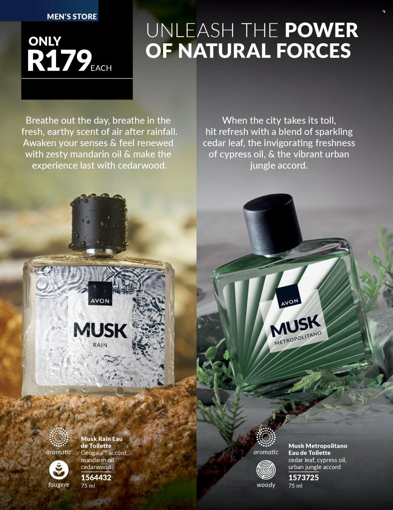 Avon specials - 01/03/2026 - 31/03/2026. Page 66