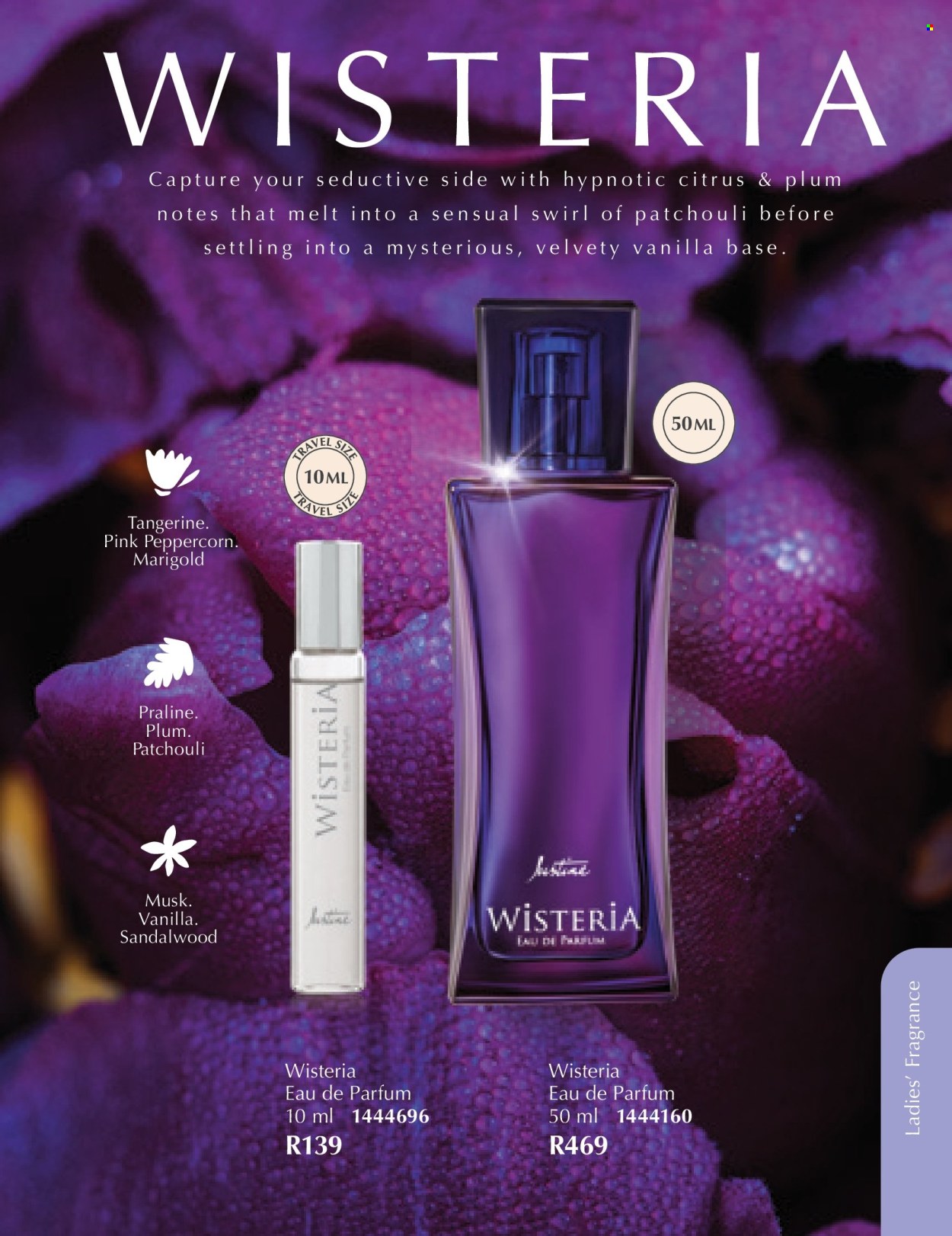 Justine specials - 01/03/2026 - 31/03/2026. Page 47