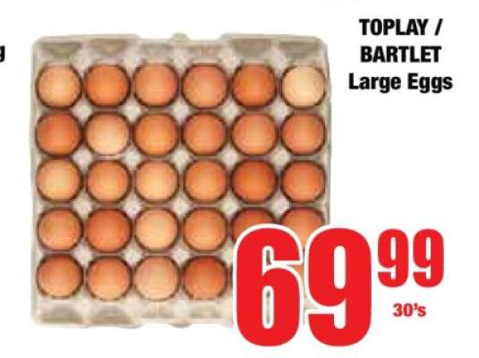 TOPLAY / BARTLET Large Eggs