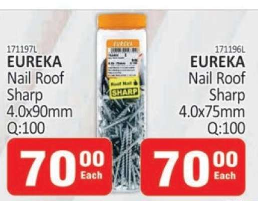 EUREKA Nail Roof Sharp 4.0x90mm