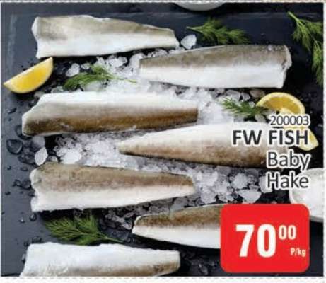 FW FISH Baby Hake
