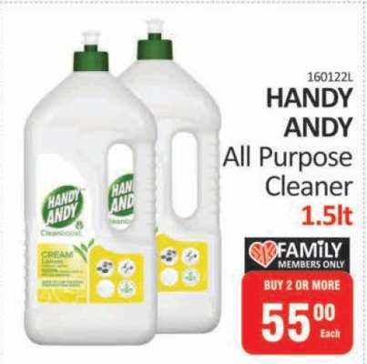 HANDY ANDY ALL PURPOSE CLEANER