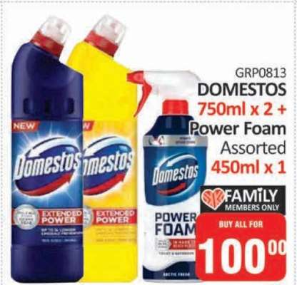 DOMESTOS 750ml x 2 + Power Foam Assorted 450ml x 1